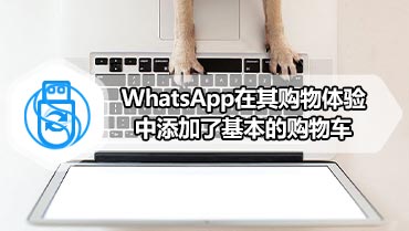 WhatsApp在其购物体验中添加了基本的购物车