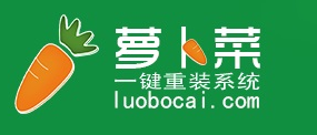 电脑一键重装系统用什么软件好 萝卜菜一键重装系统