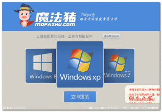 魔法猪怎样对电脑重装系统win8.1系统