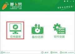 萝卜菜一键重装系统v6.3.0