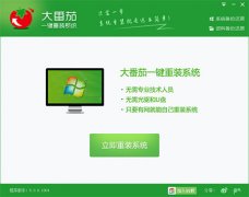 大番茄一键重装win7系统在线版工具