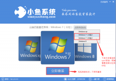 小鱼一键重装win8系统工具