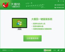 大番茄一键重装系统v5.0.1004