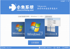 小鱼一键重装系统工具v7.2