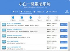 小白一键重装系统下载（v5.1.9.1免费版）