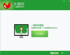 大番茄一键重装系统工具v7.4纯净版