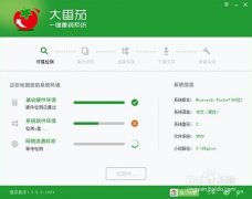 大番茄一键重装系统V2.0.1.0526绿色版