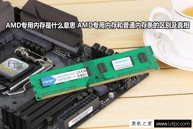 amd专用内存是什么意思 amd专用内存和普通内存条的区别及真相