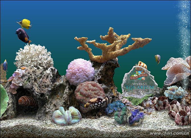 热带鱼屏保程序 Win10专业版热带鱼屏保程序MAquarium推荐