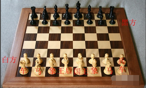 玩国际象棋 玩国际象棋