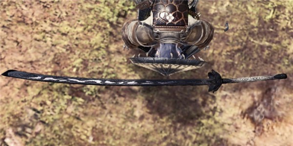 怪物猎人世界冰原黑色不死斩MOD