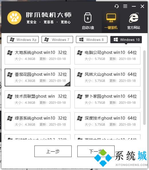 胖爪装机大师软件重装win10教程