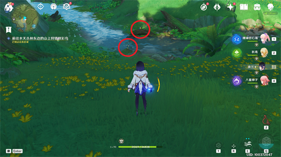 原神与珍稀之鸟的短暂邂逅怎么触发 原神与珍稀之鸟的短暂邂逅攻略介绍