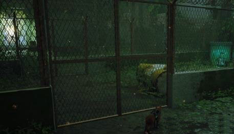 迷失stray记忆在哪里收集 迷失stray全记忆收集攻略