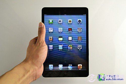 苹果iPad mini CV的 