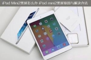 iPad Mini2黑屏怎么办 iPad mini2黑屏原因与解决办法