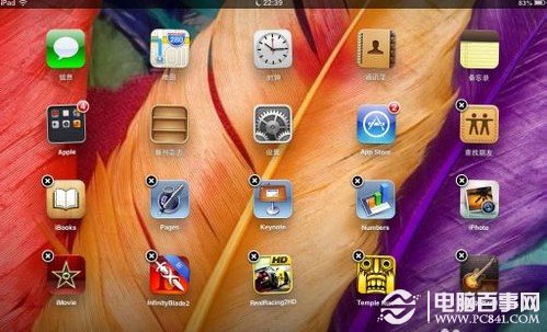 ipad手势功能